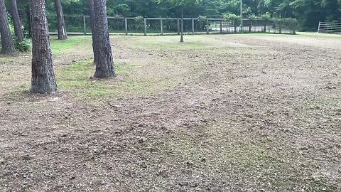 Starting back up soon. Just Smoothed out the training field