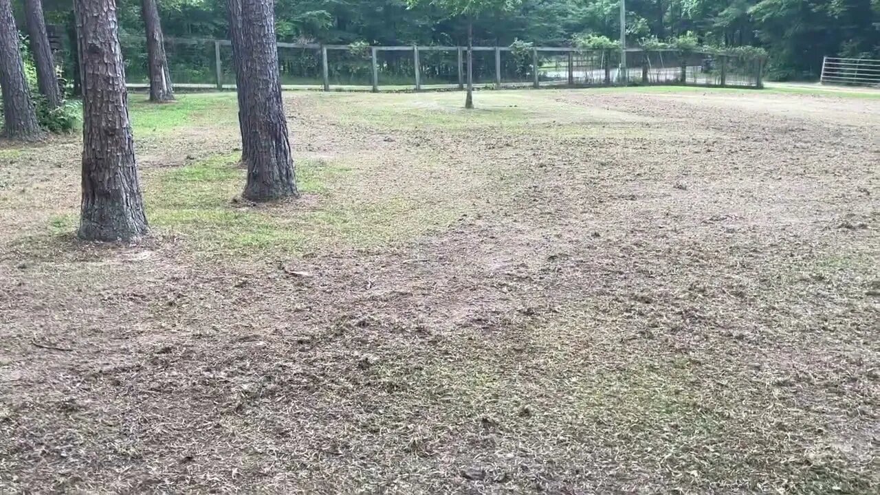 Starting back up soon. Just Smoothed out the training field
