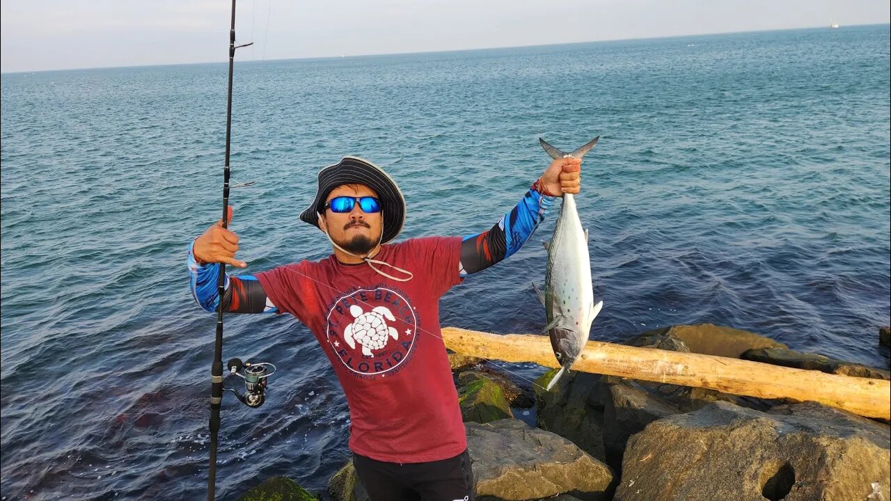 Landing Big False Albercore Tuna with 7 foot Fluke rod 😬