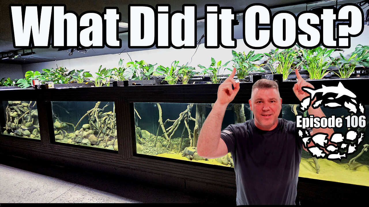 What Did it Cost to Build a 33 Foot Long, 4500 Gallon DIY Wood, Fiberglass & Epoxy Aquarium?
