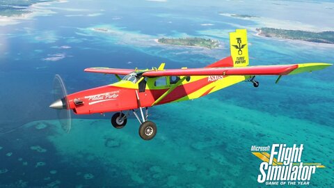 Microsoft Flight Simulator – Announcing the Game of the Year Edition