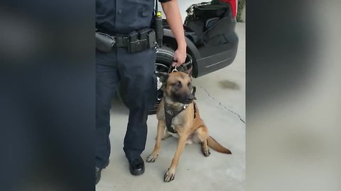 Woman donates car to BPD K-9 unit