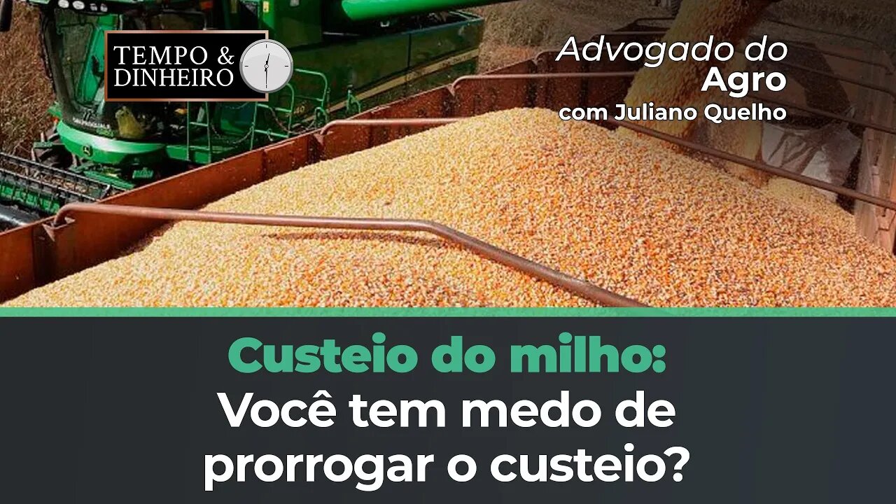 Custeio do milho: você tem medo de prorrogar o custeio? Advogado do Agro tem novidades de MG