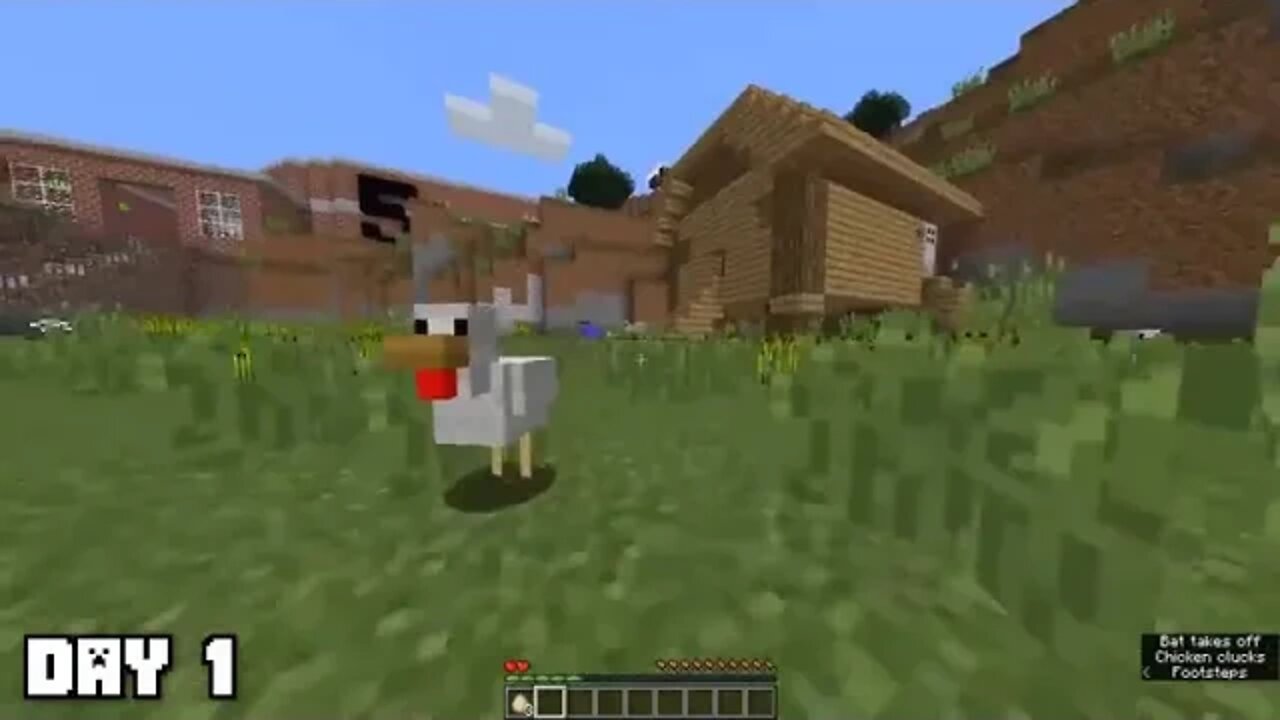 I survived 100 Days as a Chicken in Minecraft # 3