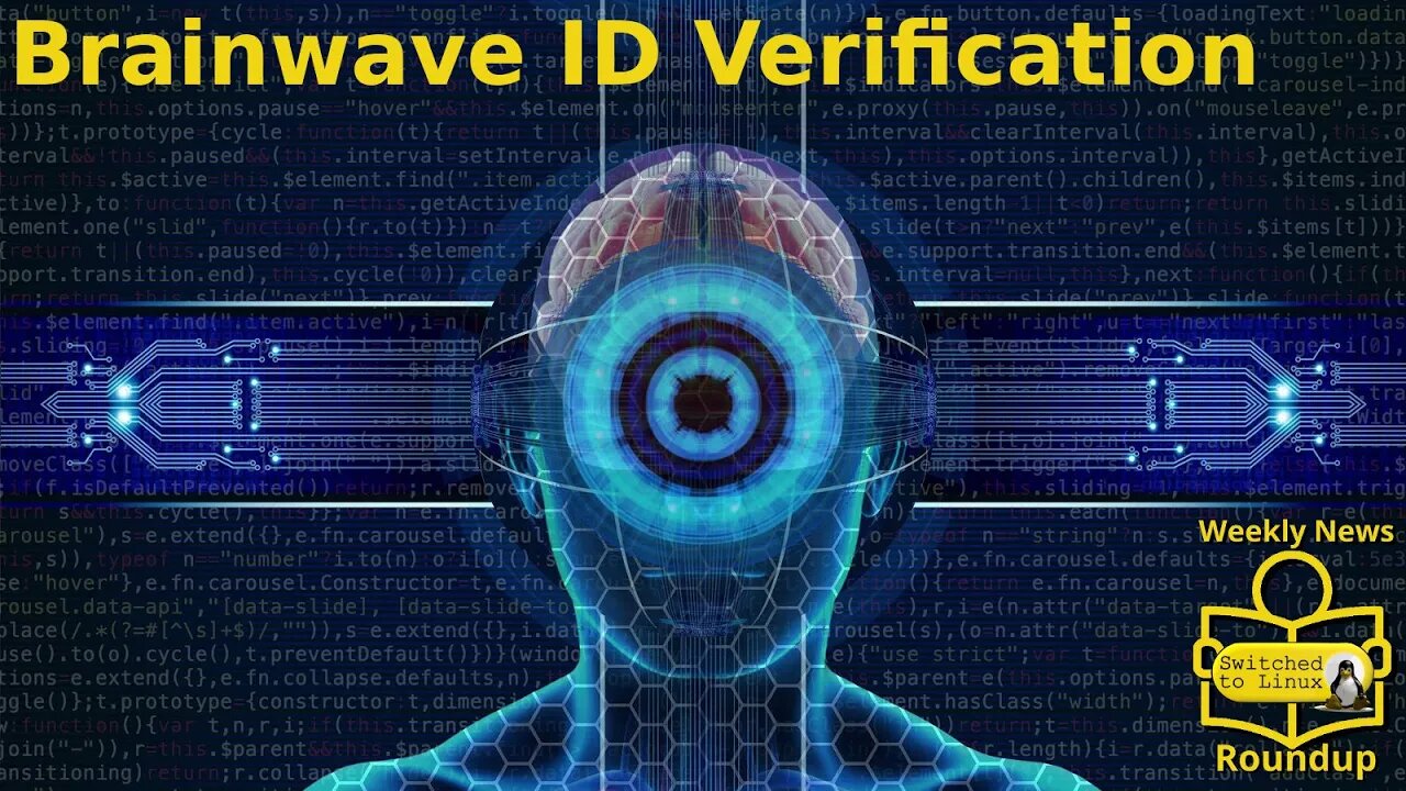 Brainwave ID Verification