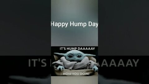 Happy HUMP DAY...Errrr Wednesday 🐫😛😈😉