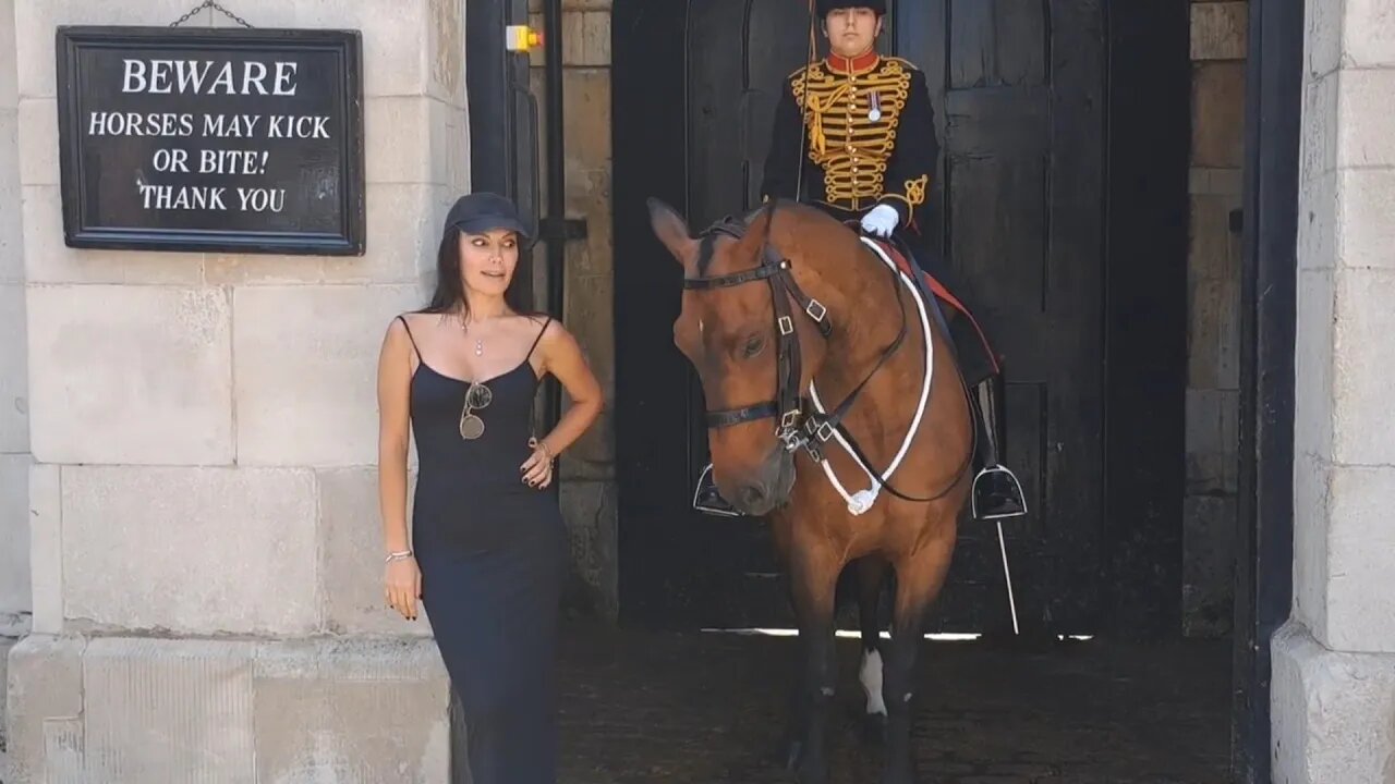 her eyes show fear 😆 #horseguardsparade