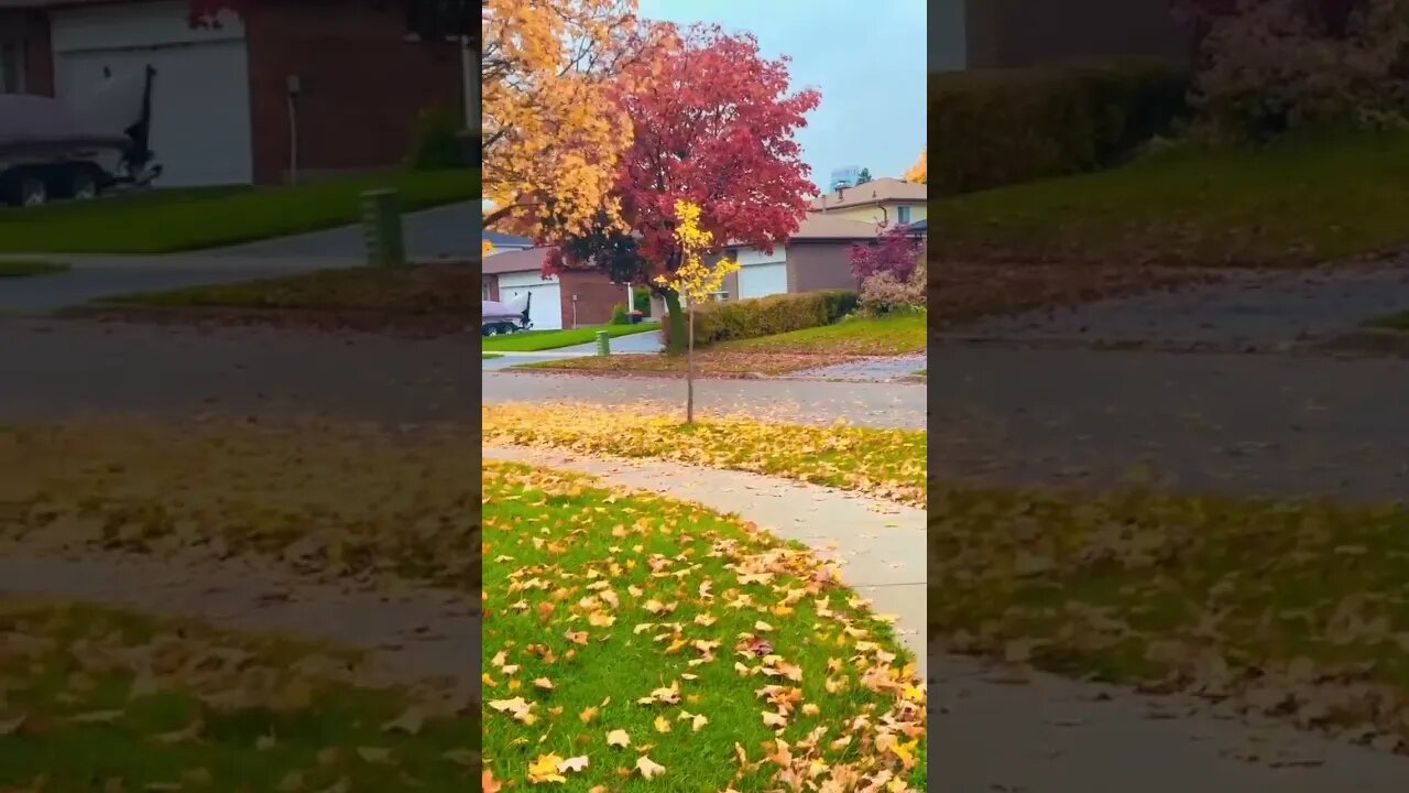 Perfect Autumn in Canada which you can't see anywhere else 😯🤯🍂 🇨🇦