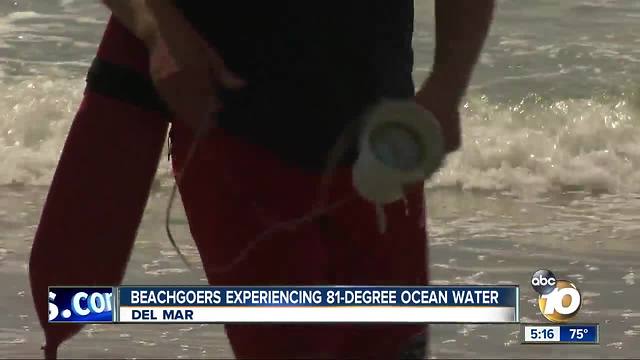 Del Mar beachgoers experiencing 81-degree ocean water