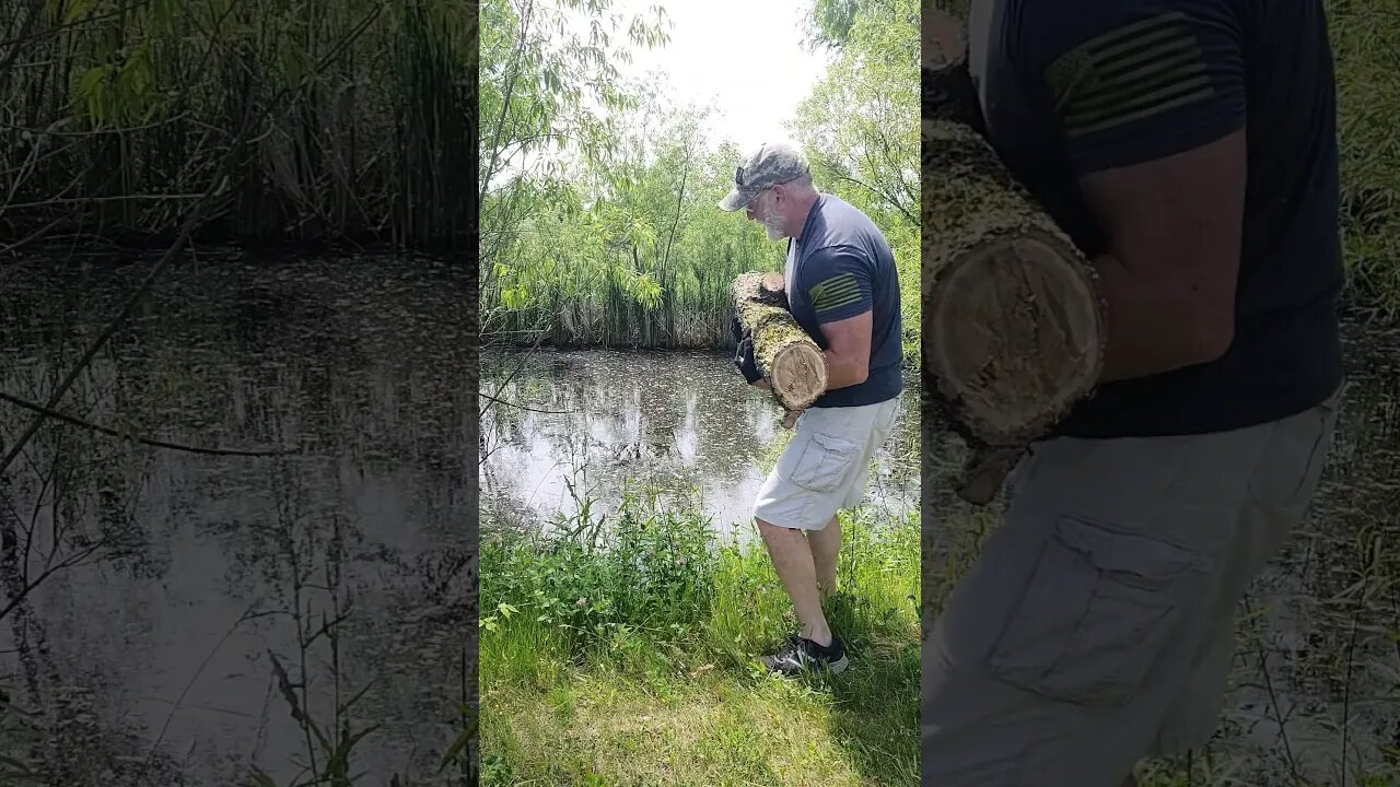 Throwing in the Turtle 🐢 Log for the Pond at the Farm 🌳 🚜