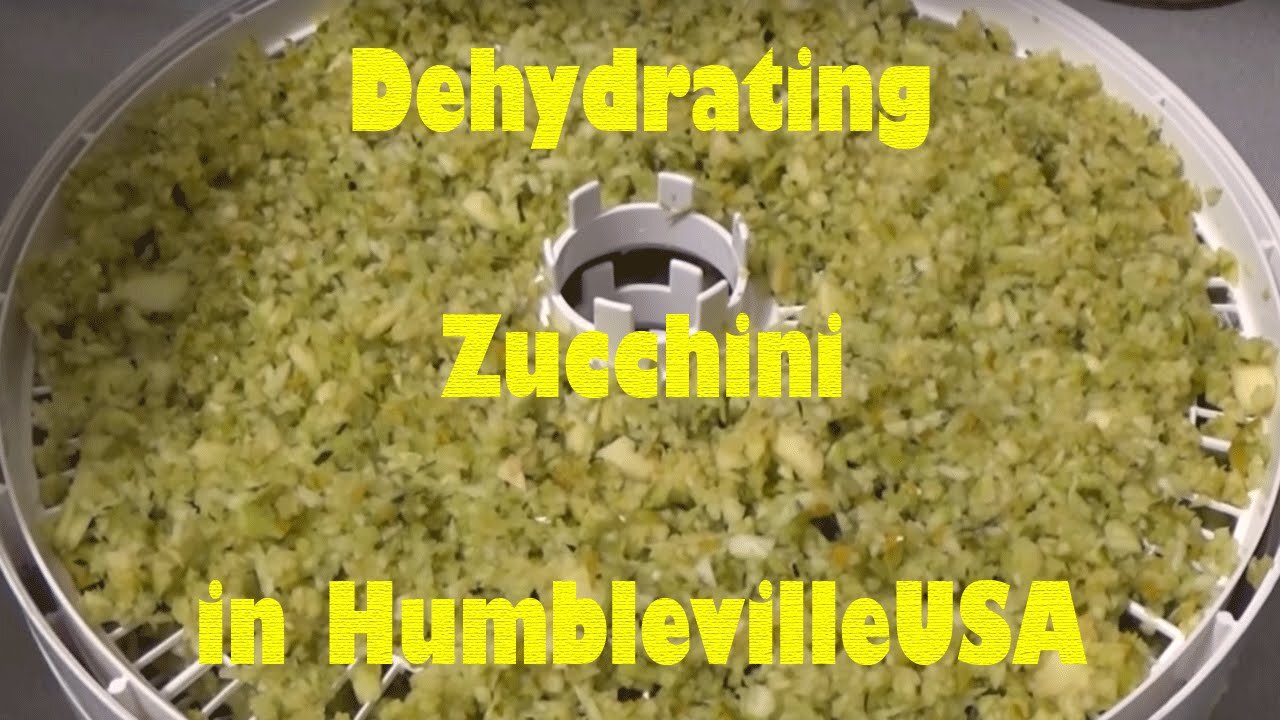 DEHYDRATION: Dehydrating Zucchini in Dehydrator and Food Saver VacuSealer in Humbleville