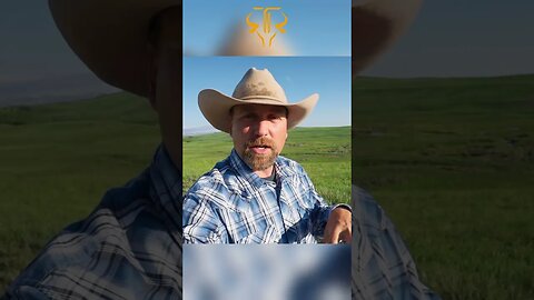 Guardians of the Land. How Ranchers Preserve Montana's Pristine Nature and Livelihood!