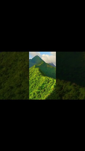 10 Minute Relaxation Oasis | Calming Sleep Music for Stress Relief