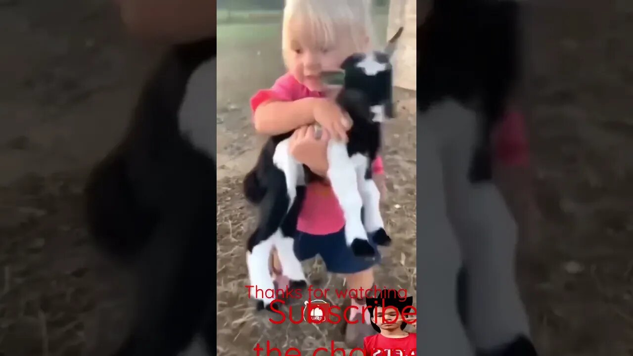 Little cute baby with goat #entertainment #youtube #youtubeshorts #youtuber #funnyvideos