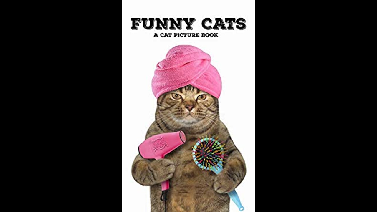 Most amazing and funny cat