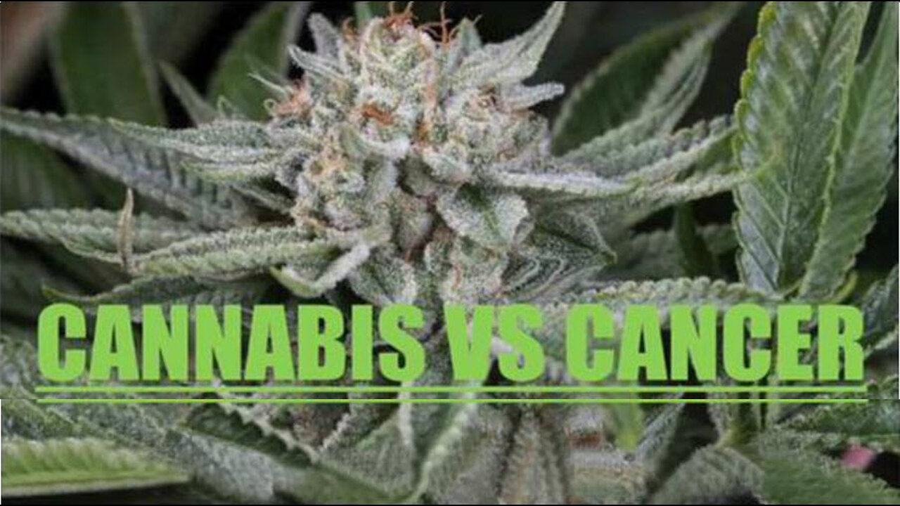 ICYMI- Cannabis vs Cancer