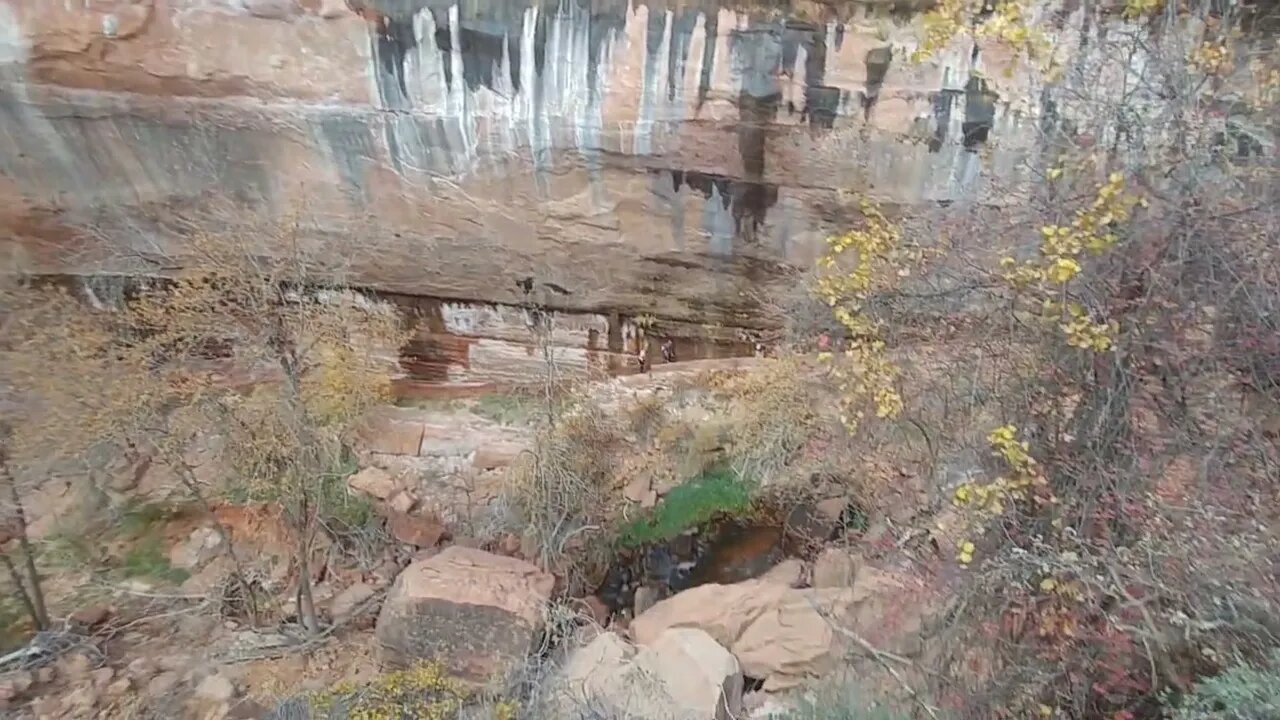 Zion National Park | Lower Emerald Pool