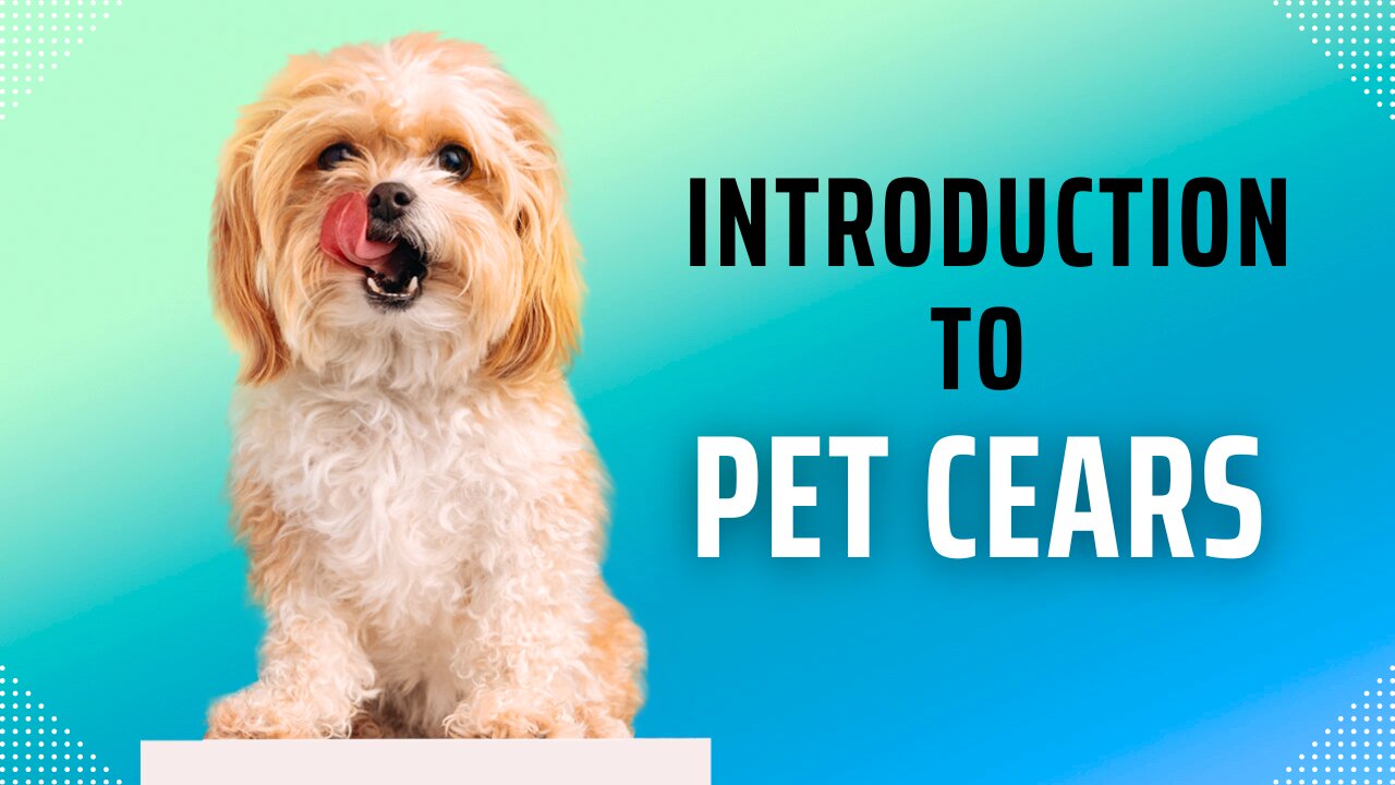 Introduction to Pet Cears