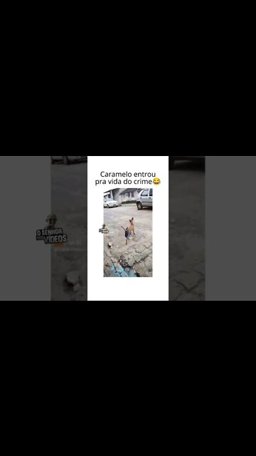 caramelo entrou para o crime 😂😂😂😂