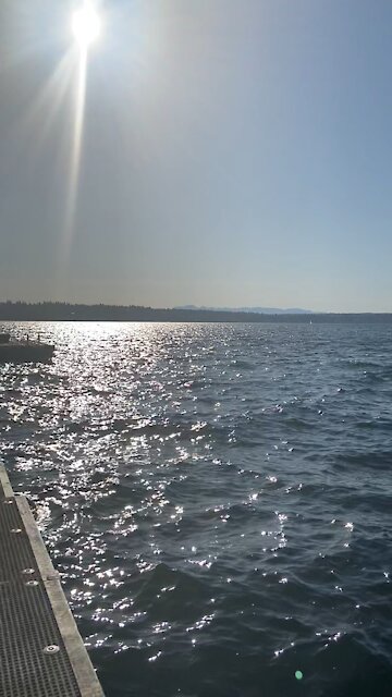 I’d live on a yacht...