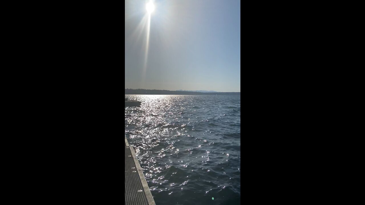 I’d live on a yacht...