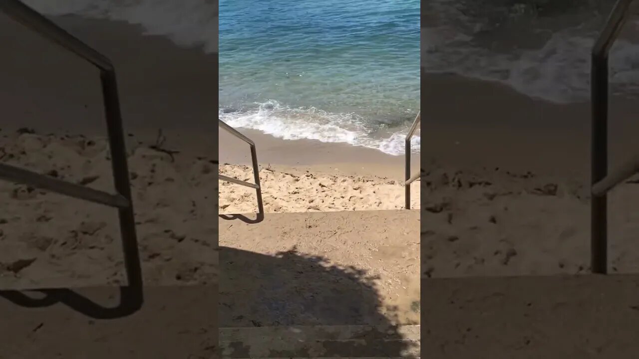 Hayes Street Beach, Neutral Bay