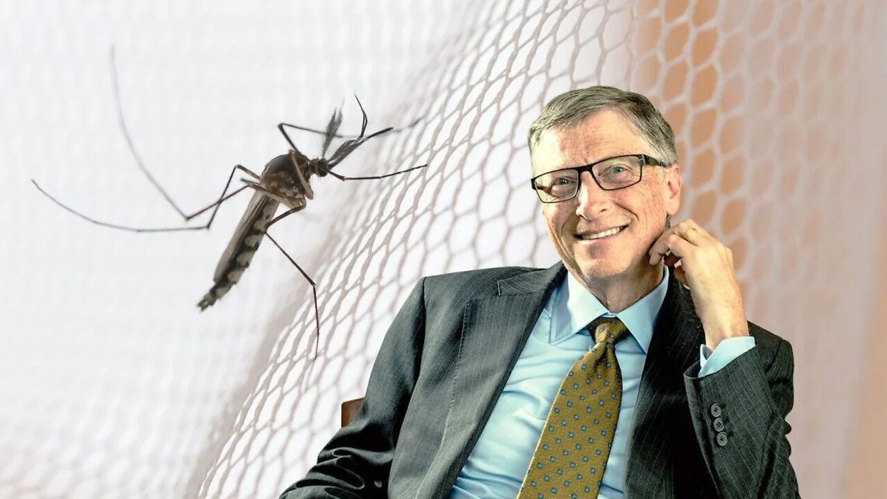 Denga i malaria - komary GMO Gatesa szykują nam kolejną pandemię?