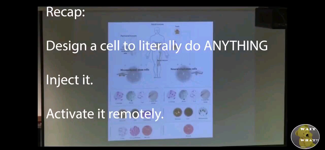 Programing Cells To Program You-Human Drones DNA Mind Control