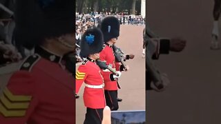 coldstream Guards musical support band #buckinghampalace