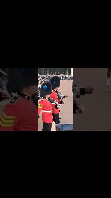 coldstream Guards musical support band #buckinghampalace