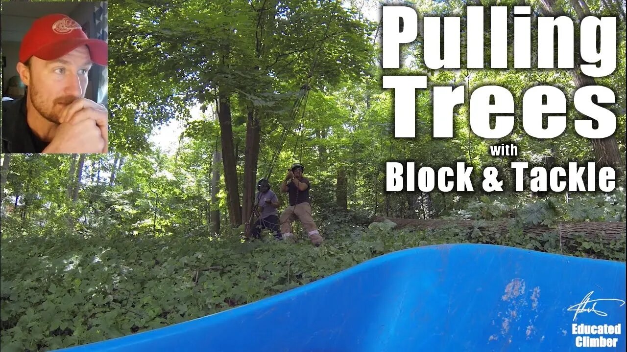 Felling Trees with Block and Tackle