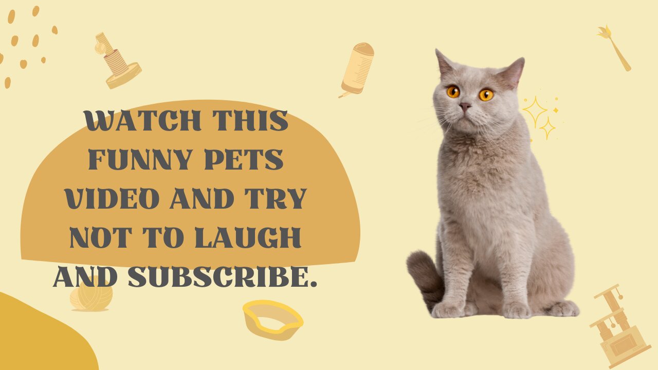 Watch This Funny Pets Video And Try Not To Laugh