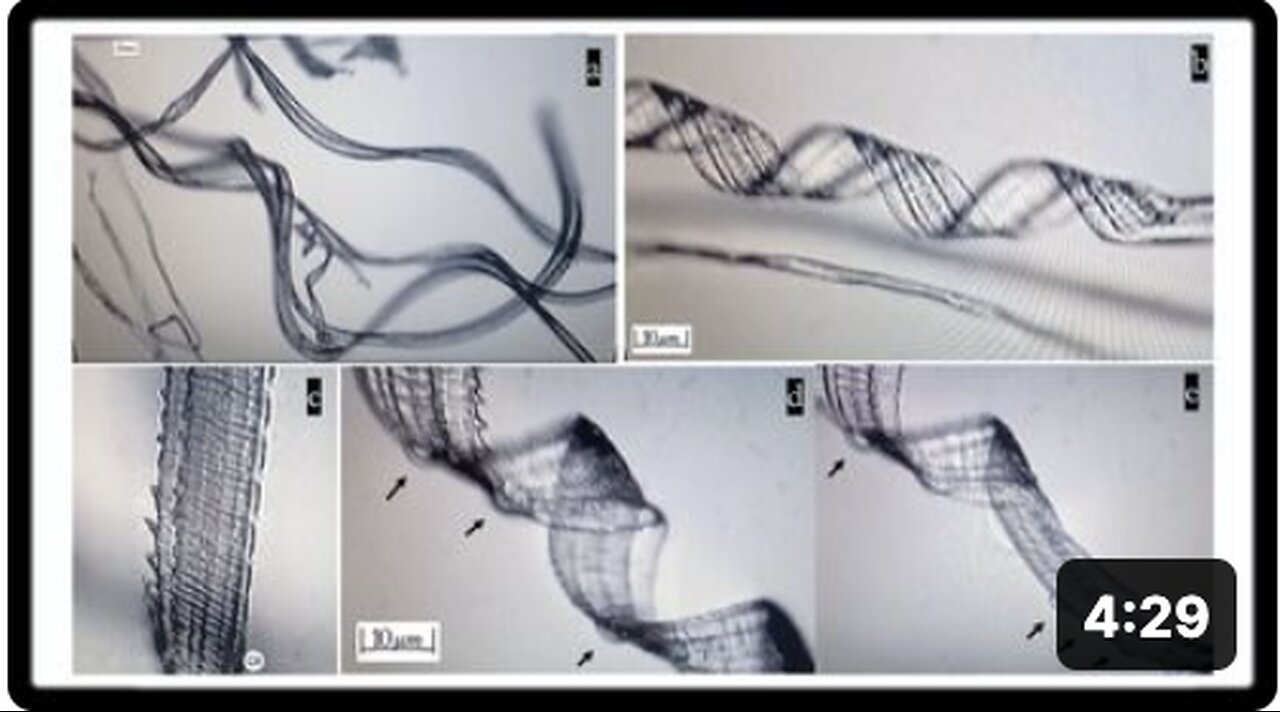 Recent Study Shows Self-Assembly Nanobots in the COVID-19 Injectables | Greg Reese