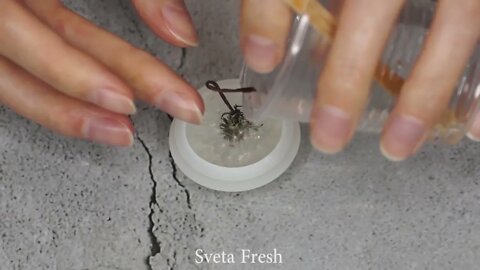 15 Epoxy Resin DIY Ideas JEWELRY IDEAS FOR TEENAGERS | FAIRY PENDANTS MADE OUT OF AN EPOXY RESIN