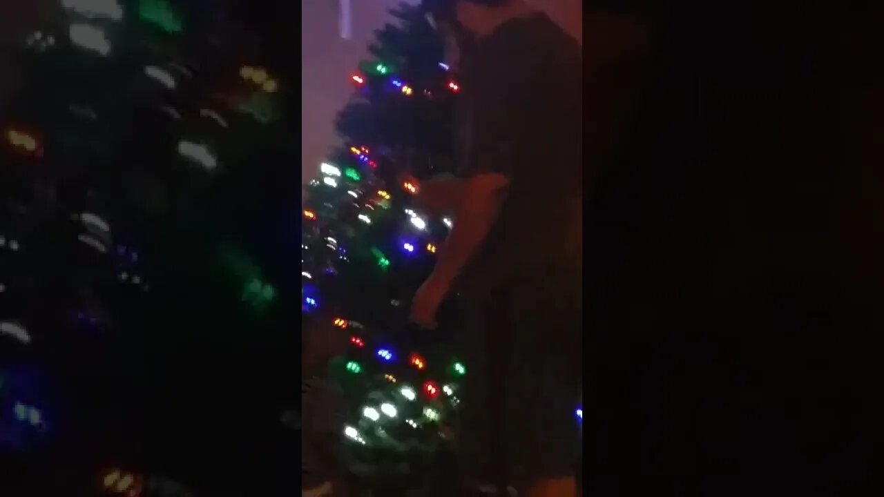 Mick and Kids Decorate the Tree