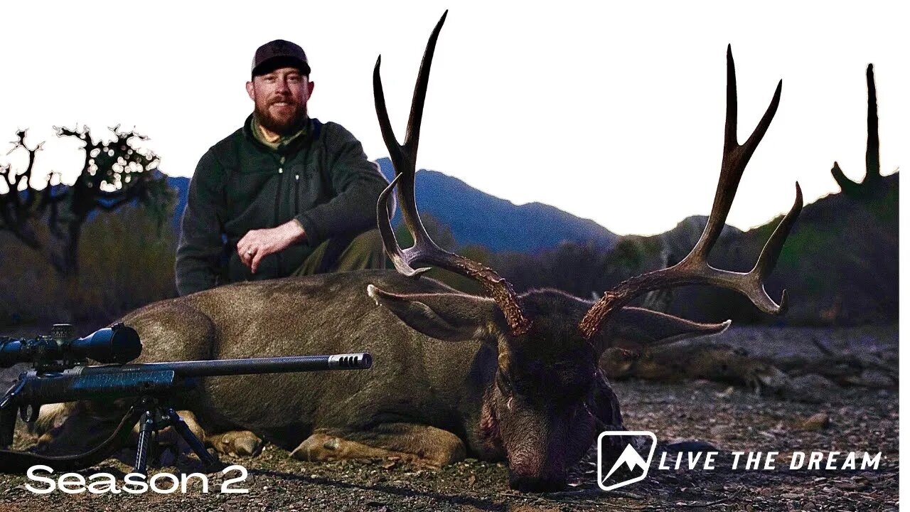 Mule Deer Hunting Sonora Mexico