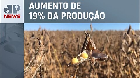 Safra 2023 deve bater recorde com 313,3 milhões de toneladas