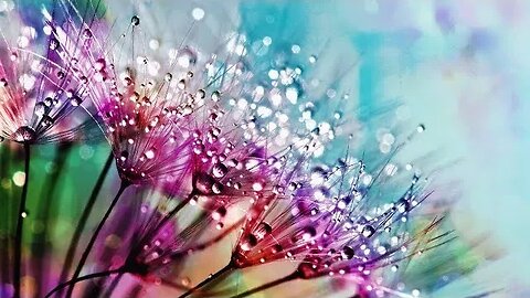 Relaxing Rain Sounds For Sleeping, Relaxing Meditation Music, Soothing Calm Music for Body and Mind