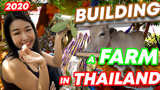 What's it like to Build a Farm in Thailand? Thai Rural Life in 2020