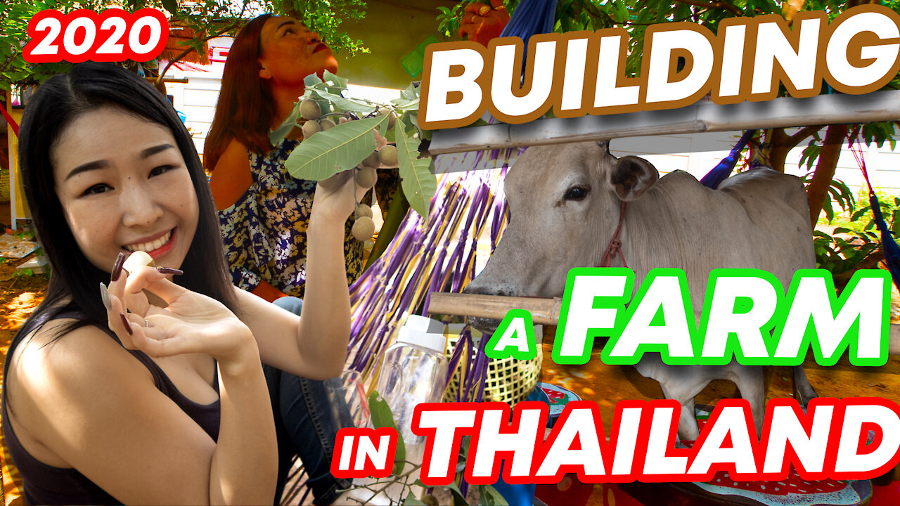 What's it like to Build a Farm in Thailand? Thai Rural Life in 2020