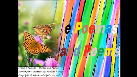 Quando uma borboleta pousar no seu ombro, sou eu te abraçando [Frases e Poemas]