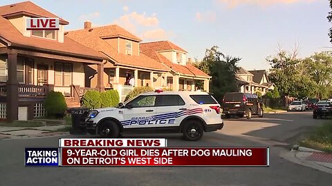 9-year-old girl dies from mauling by 3 dogs on Detroit's west side
