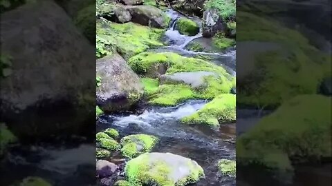 Relaxing Music with Beautiful nature for Sleep • Spa & Meditation