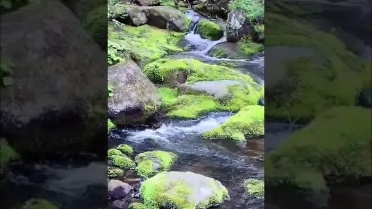 Relaxing Music with Beautiful nature for Sleep • Spa & Meditation