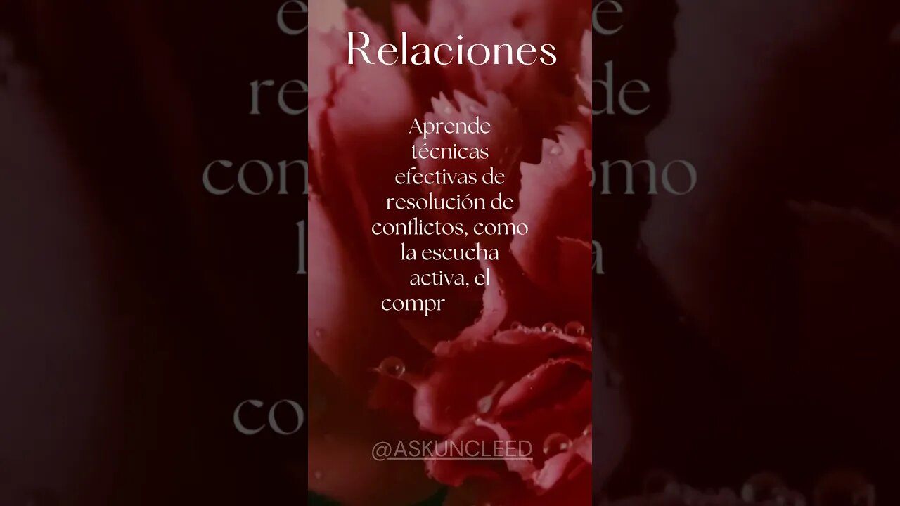 Consejos de Relaciones