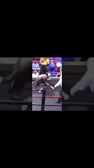 Bruh not playing! 🥊🥊 #shorts #youtubeshorts #shortvideo #viral