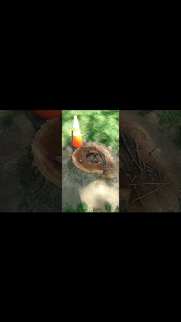 Cole family tree cut down, Rittenhouse Square, Philly? Is that what ur trying to say? ☹️