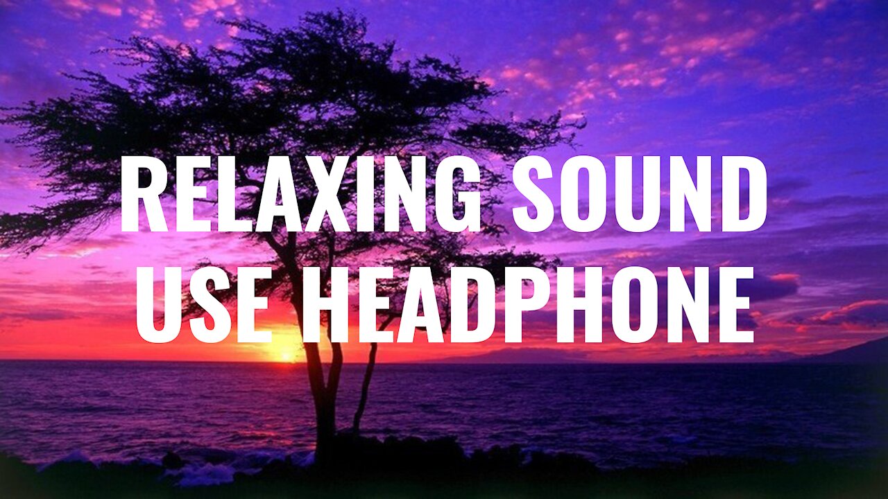 Relaxing nature sounds | Gentle stream sounds with Singing birds ambience | The beauty of nature