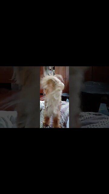 subscribe to my channel