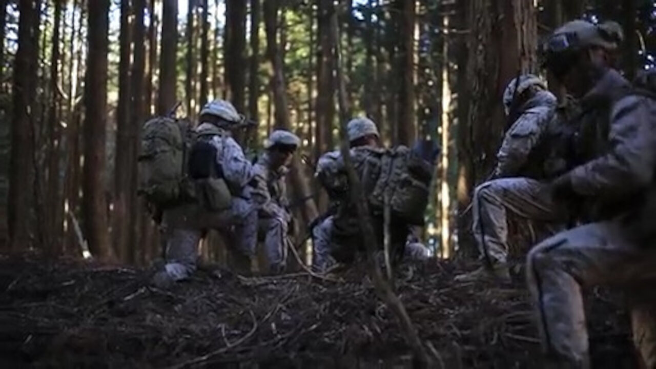 Fuji Viper: Marines conduct Joint Exercise Littoral Strike Day 1 B-Roll